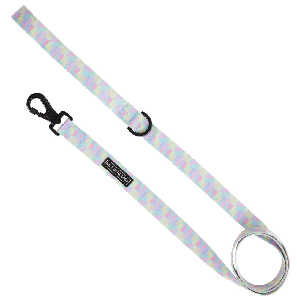 Big & Little Dogs Gelato Dog Leash