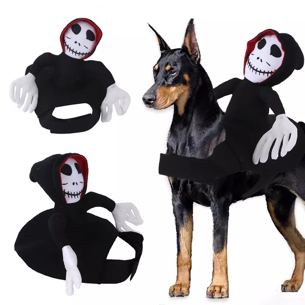 Ghoul Ride-On Dog Costume