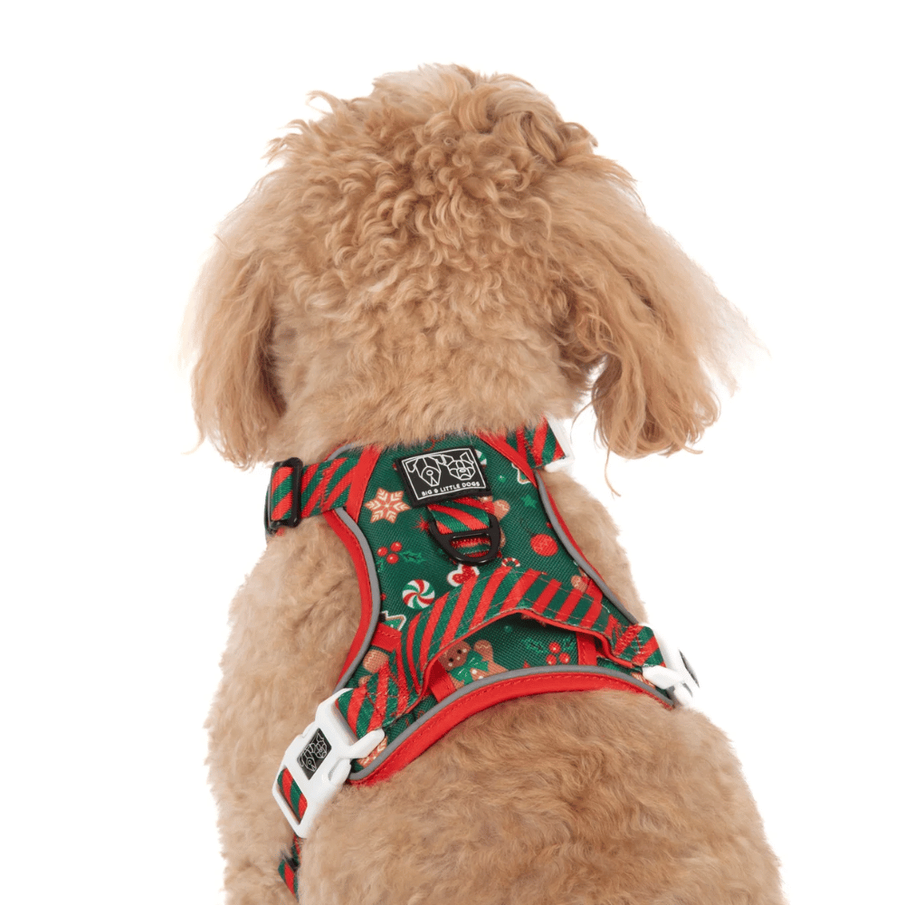 Big & Little Dogs Gingerbread Cutie All Rounder Harness