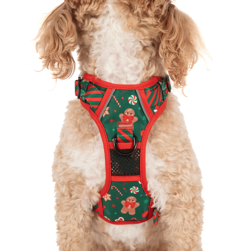 Big & Little Dogs Gingerbread Cutie All Rounder Harness