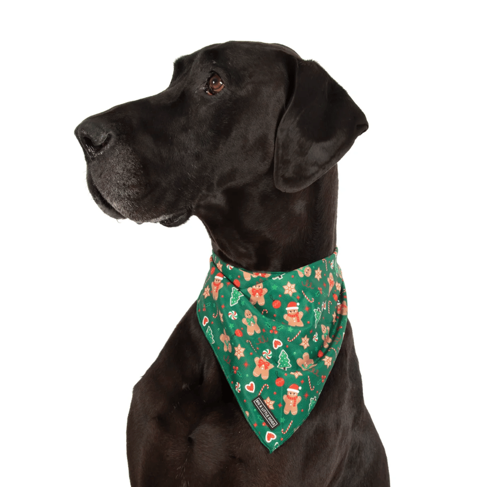 Big & Little Dogs Gingerbread Cutie Dog Bandana