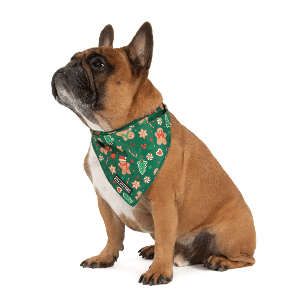Big & Little Dogs Gingerbread Cutie Dog Bandana