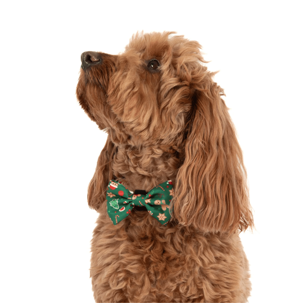 Big & Little Dogs Gingerbread Cutie Collar & Bow Tie