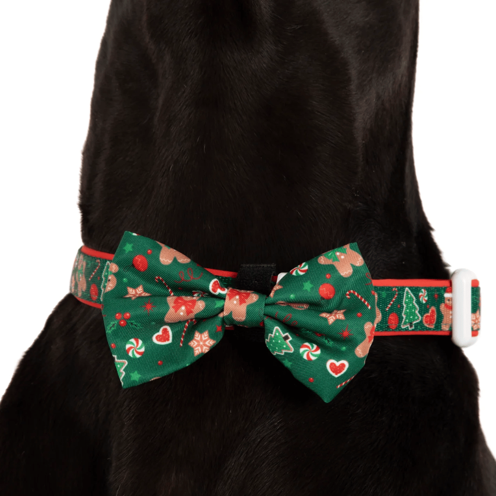 Big & Little Dogs Gingerbread Cutie Collar & Bow Tie