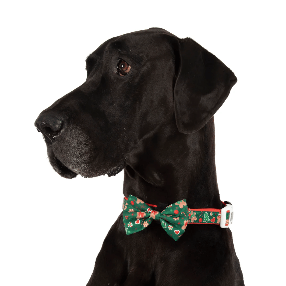 Big & Little Dogs Gingerbread Cutie Collar & Bow Tie