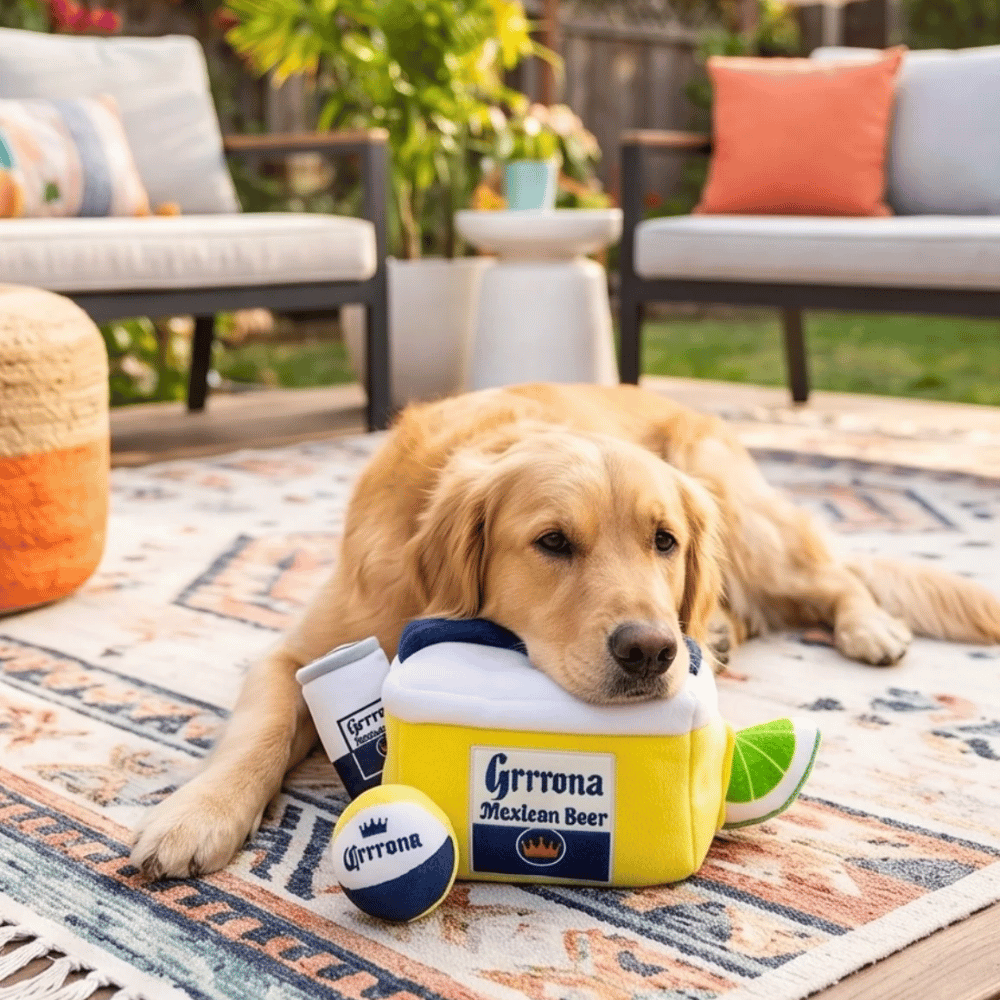 Grrrona Beach Cooler Interactive Toy