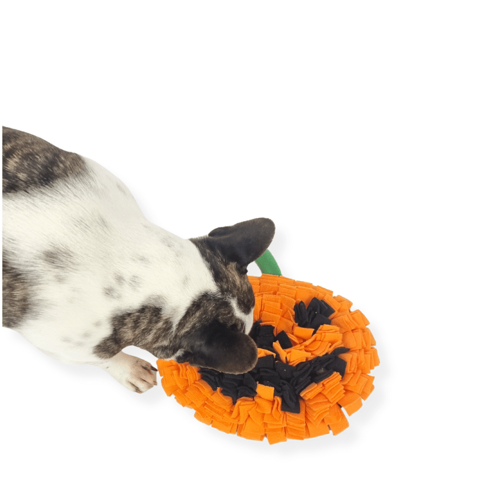 Halloween Pumpkin Snuffle Mat