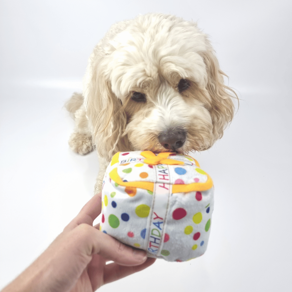 Happy Birthday Gift Box Dog Toy