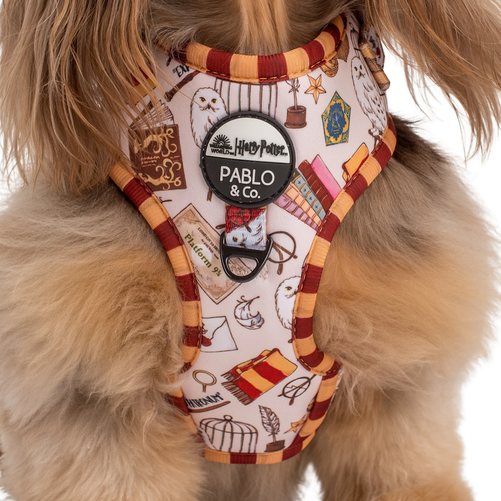 Pablo & Co Harry Potter Adjustable Harness