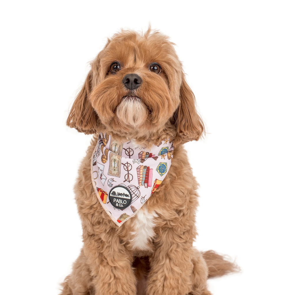 Pablo & Co Harry Potter Dog Bandana