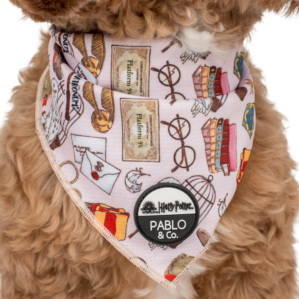 Pablo & Co Harry Potter Dog Bandana