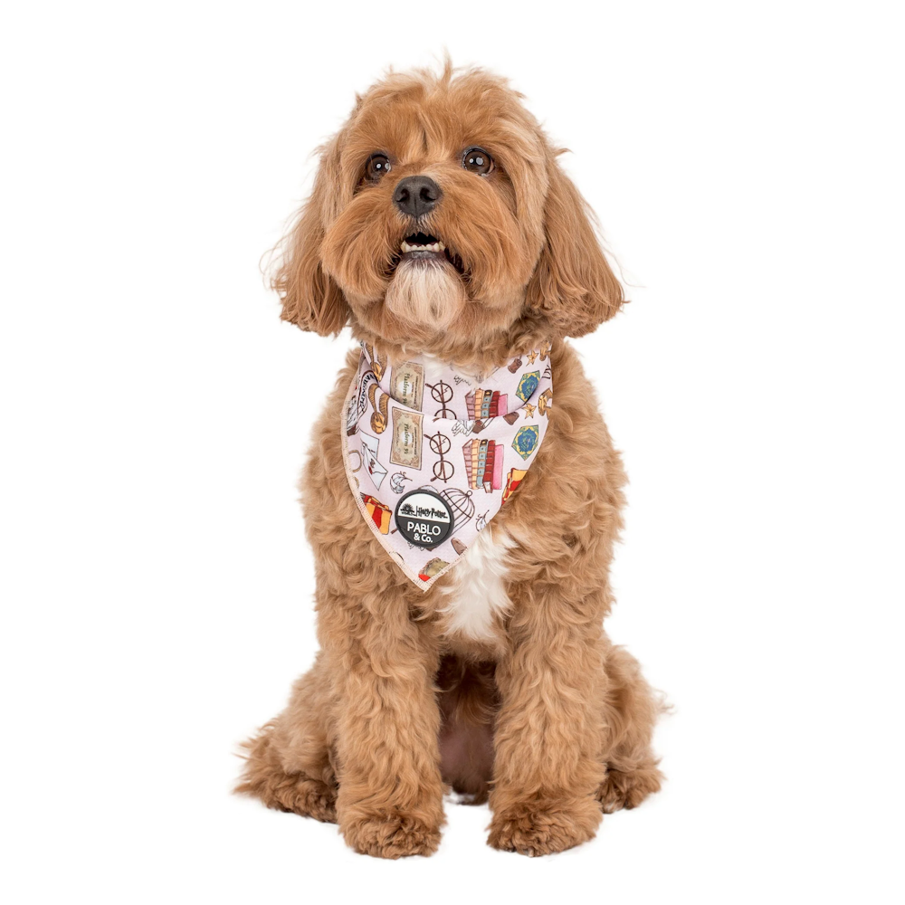 Pablo & Co Harry Potter Dog Bandana