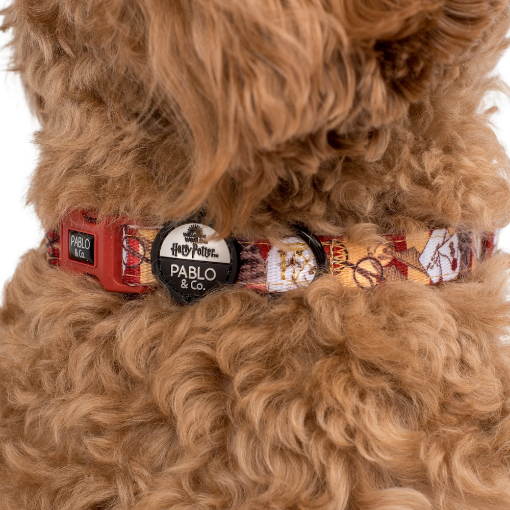 Pablo & Co Harry Potter Dog Collar