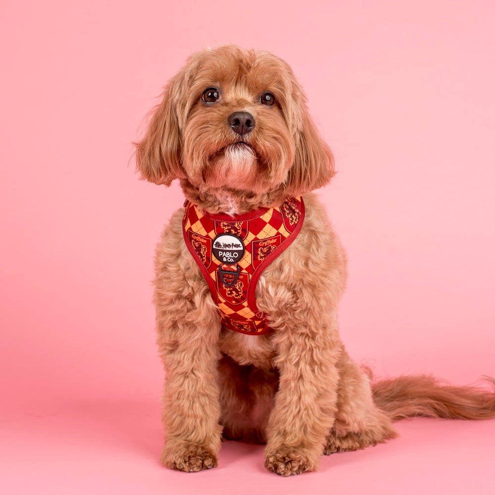 Pablo & Co Harry Potter Gryffindor: Adjustable Harness