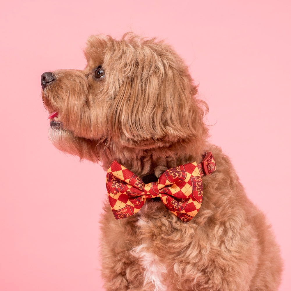 Pablo & Co Harry Potter Gryffindor: Bow Tie