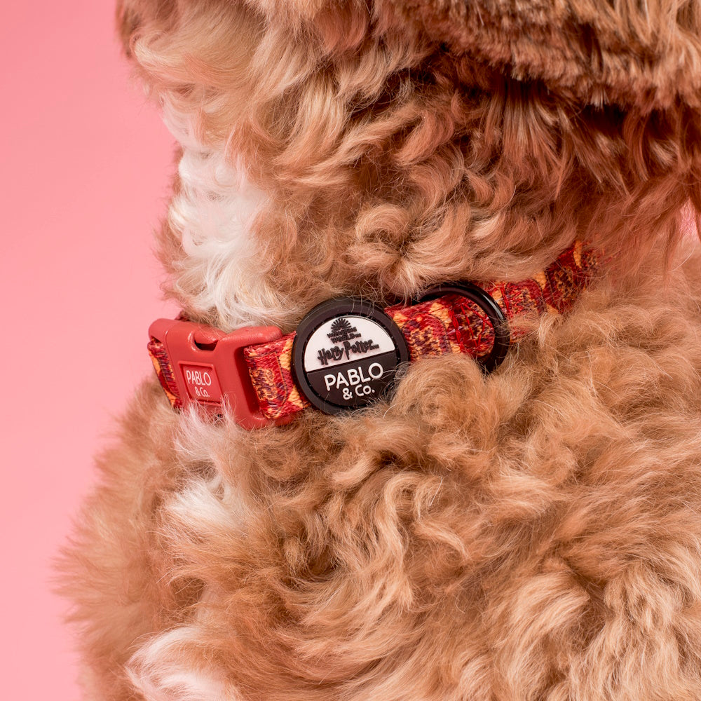 Pablo & Co Harry Potter Gryffindor: Dog Collar