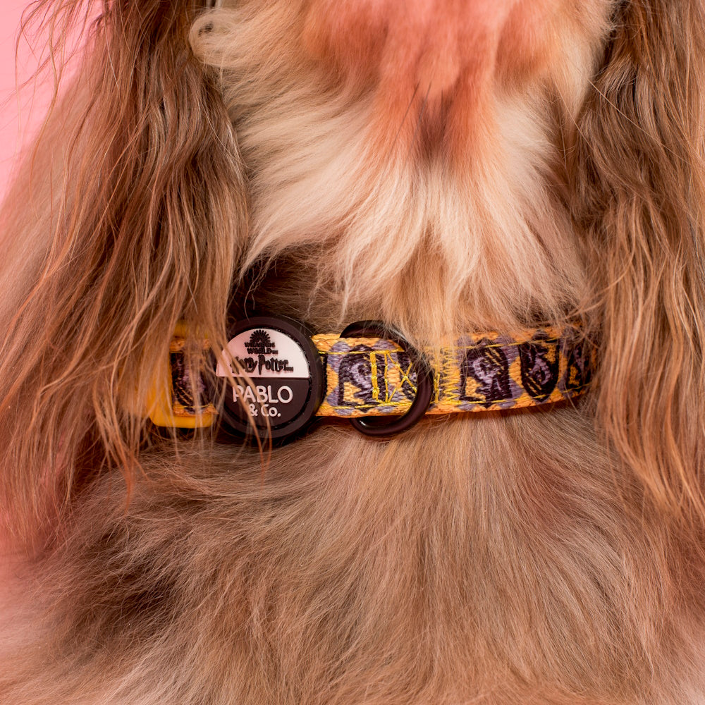 Pablo & Co Harry Potter Hufflepuff: Dog Collar