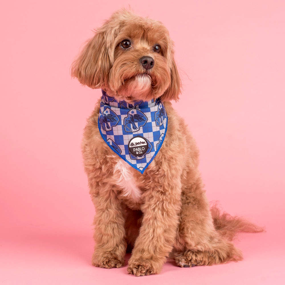 Pablo & Co Harry Potter Ravenclaw: Dog Bandana