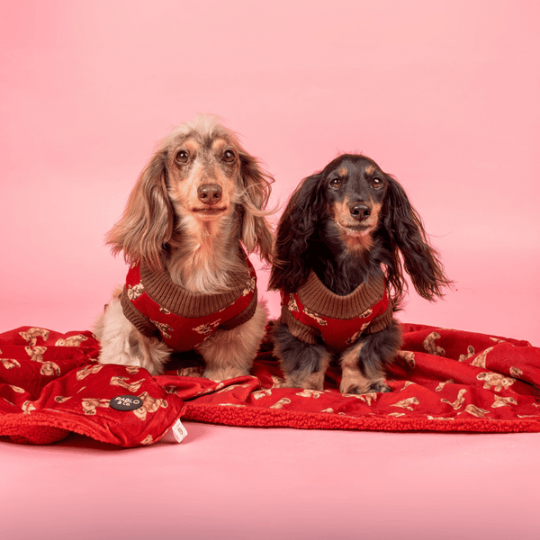 Pablo & Co Henry Bear Dog Blanket