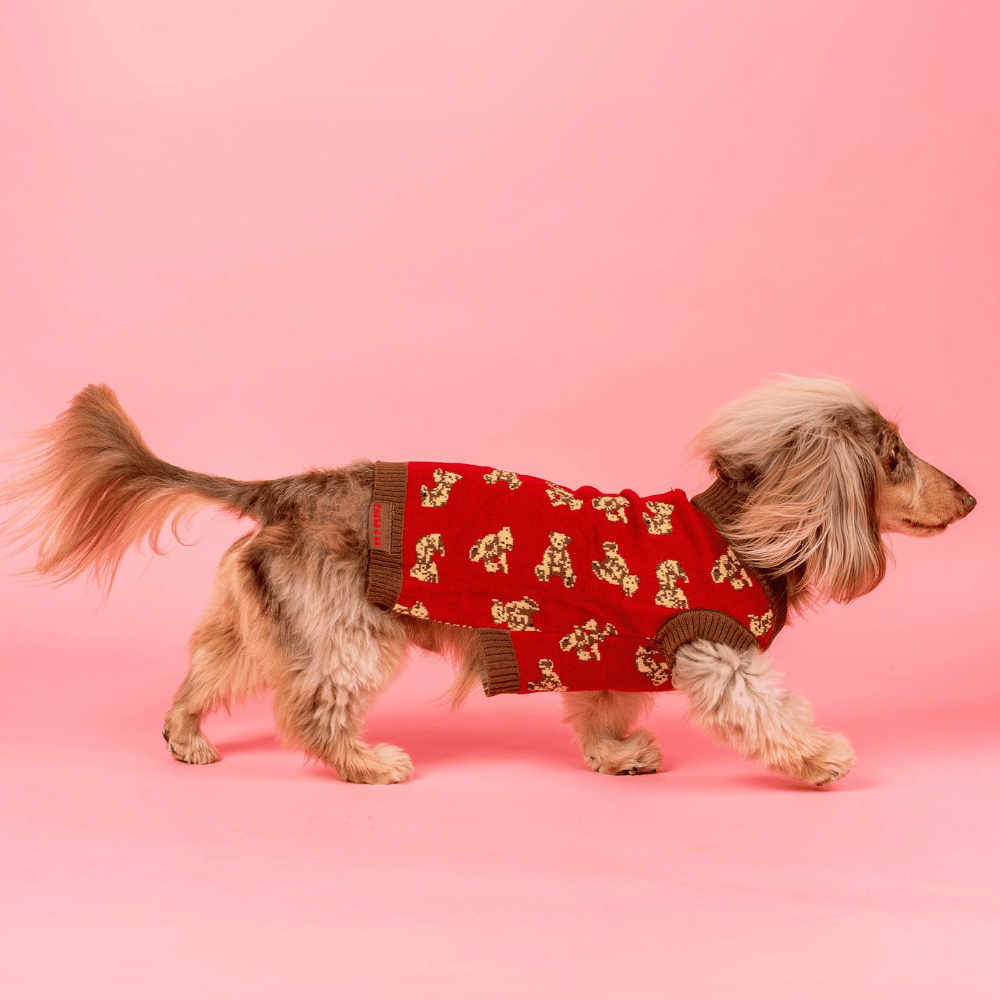 Pablo & Co Henry Bear Sweater