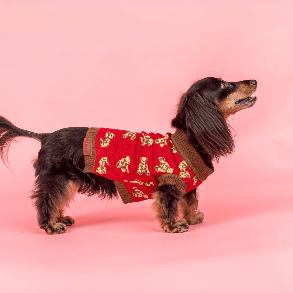 Pablo & Co Henry Bear Sweater