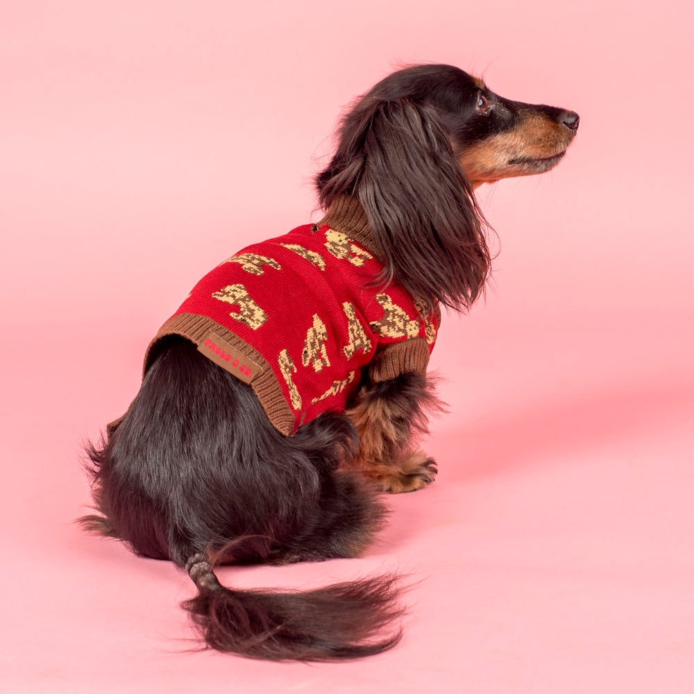 Pablo & Co Henry Bear Sweater