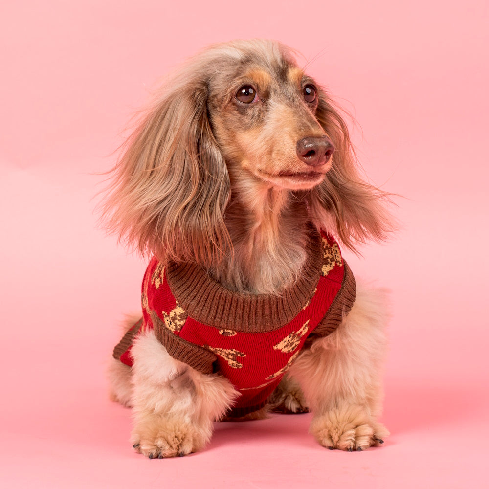 Pablo & Co Henry Bear Sweater