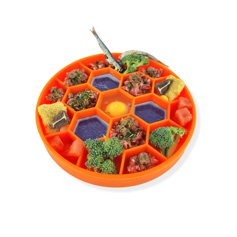 Honeycomb Slow Feeder Bowl