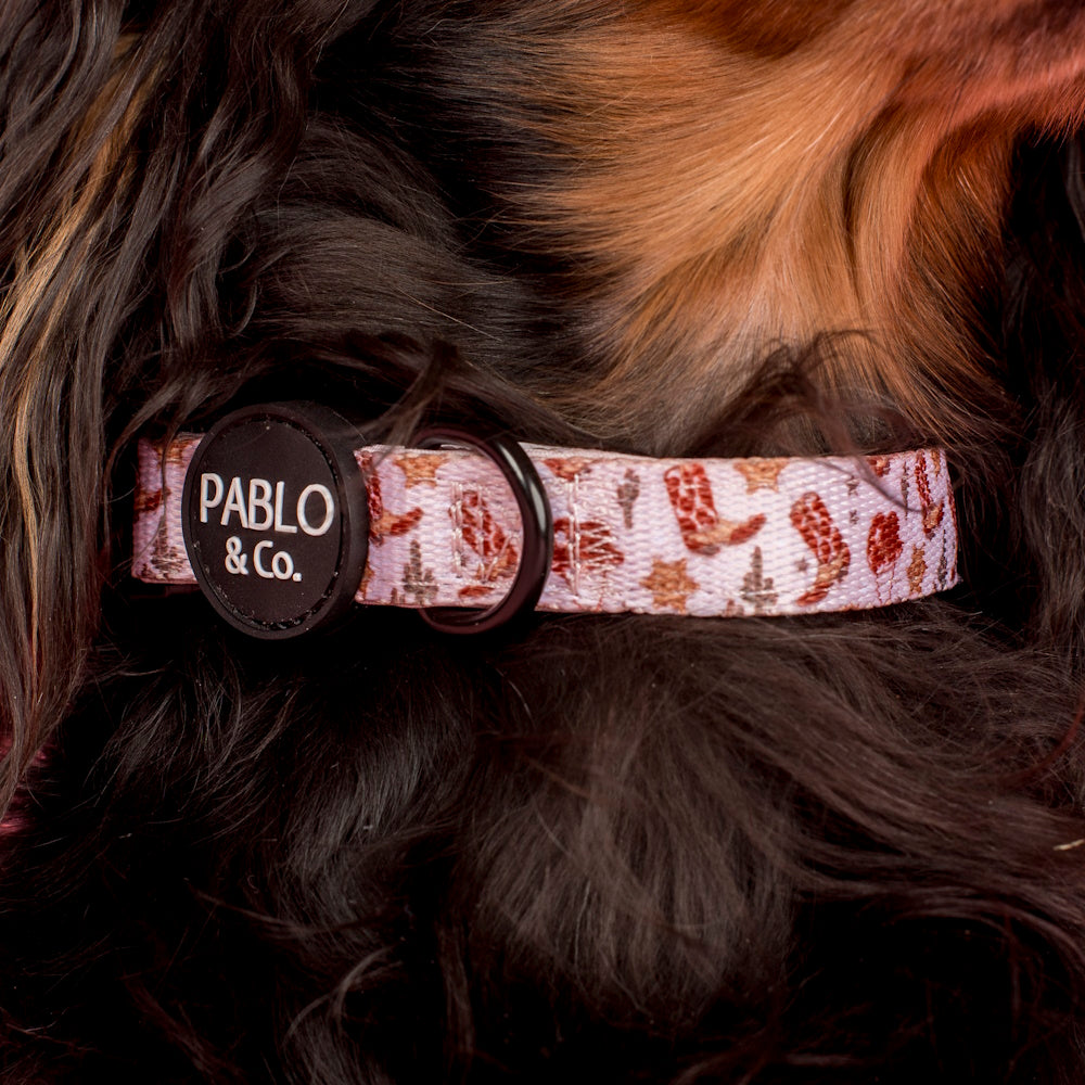 Pablo & Co Howdy Dog Collar