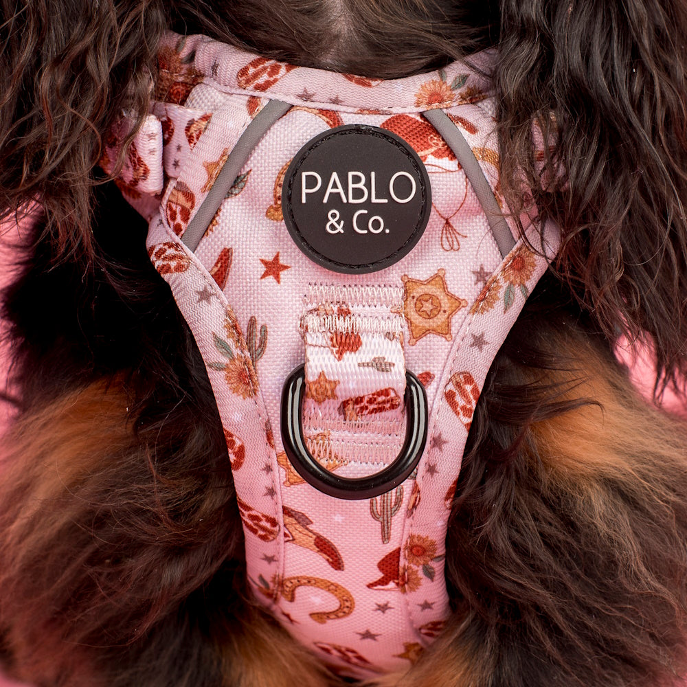 Pablo & Co Howdy No Pull Harness