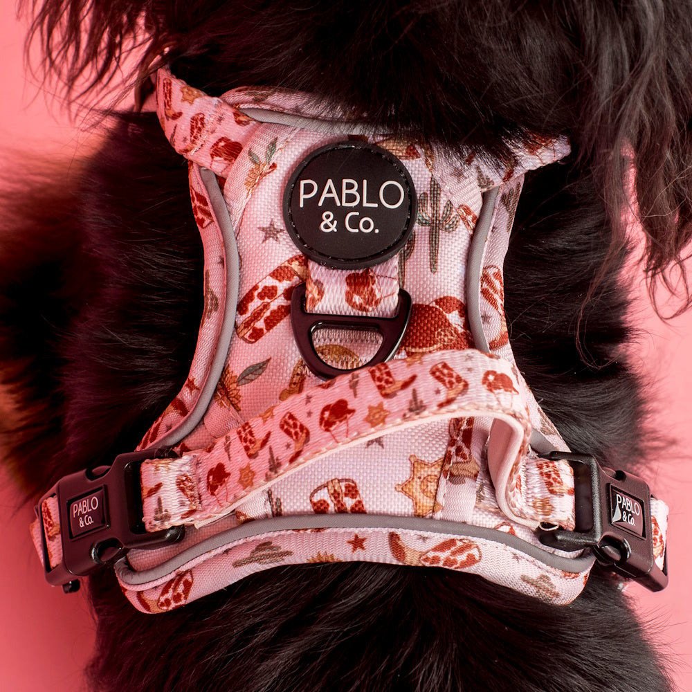 Pablo & Co Howdy No Pull Harness