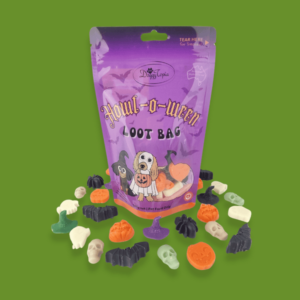 Howl-o-ween Loot Bag