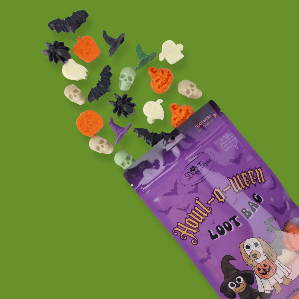 Howl-o-ween Loot Bag