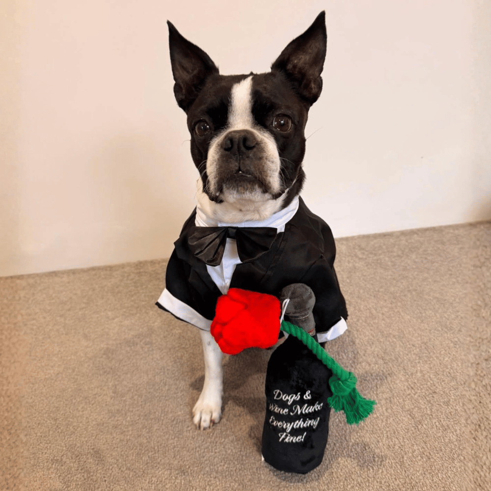 Woof Reserve Cabarknet Dog Toy