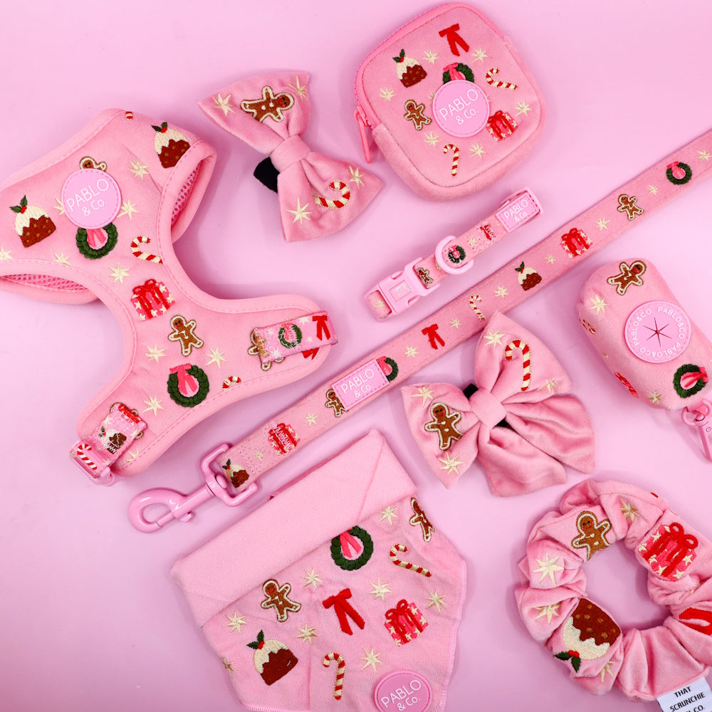 Pablo & Co Merry & Bright Treat Pouch