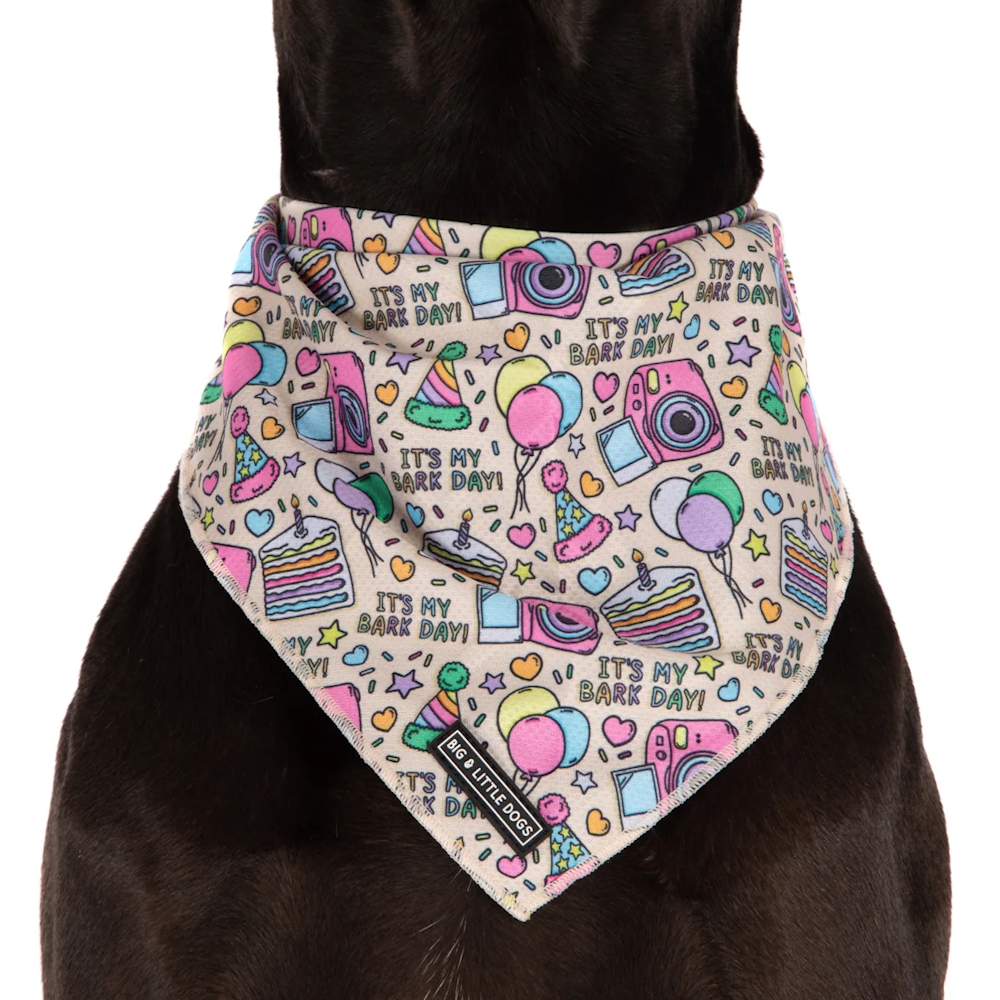 Big & Little Dogs It's My Bark Day Bandana