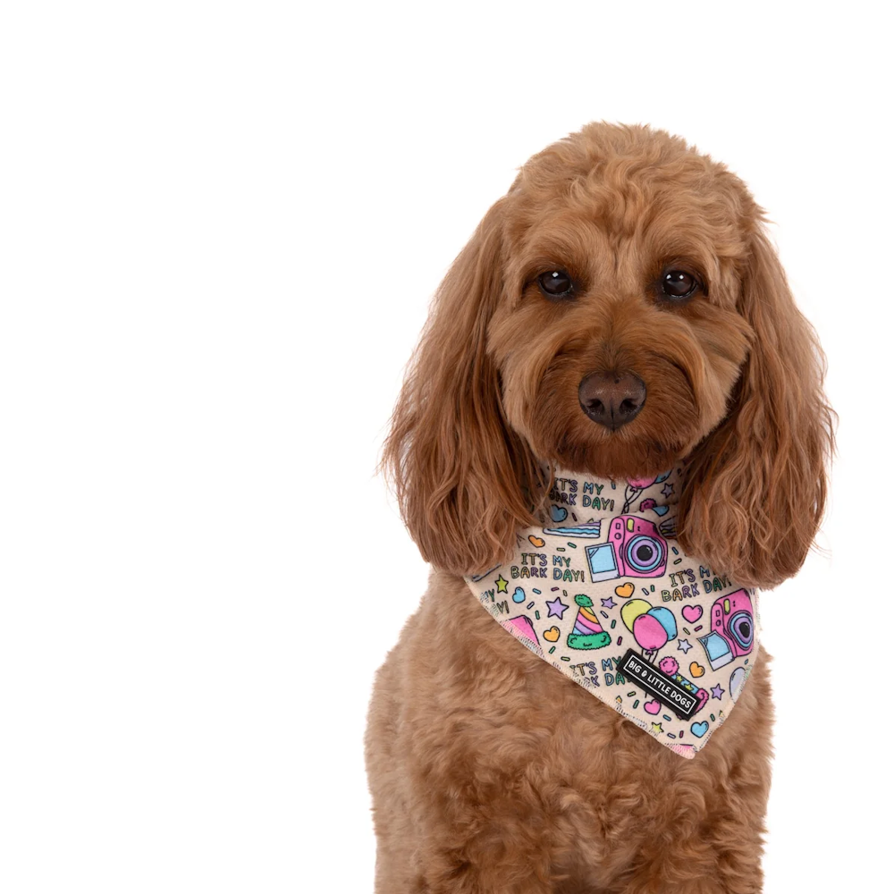 Big & Little Dogs It's My Bark Day Bandana