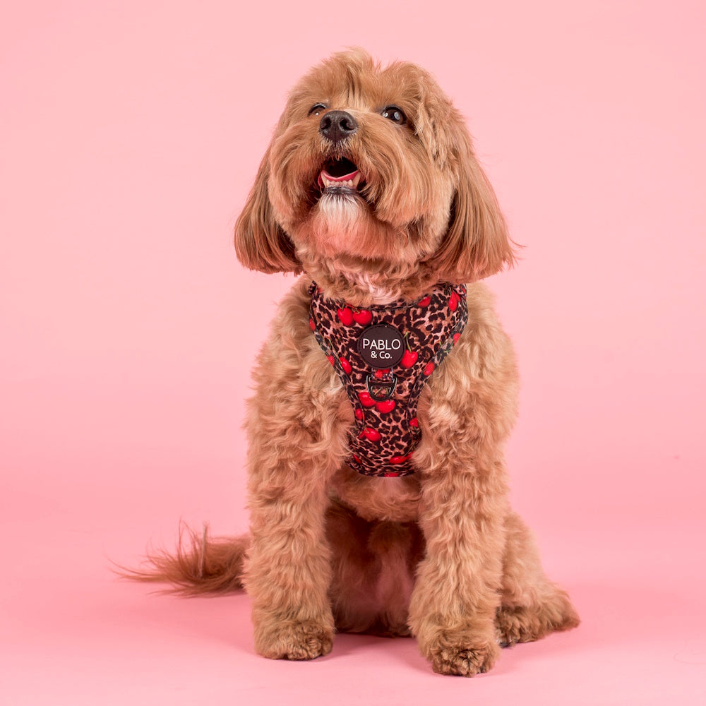 Pablo & Co Leopard Cherries Adjustable Harness