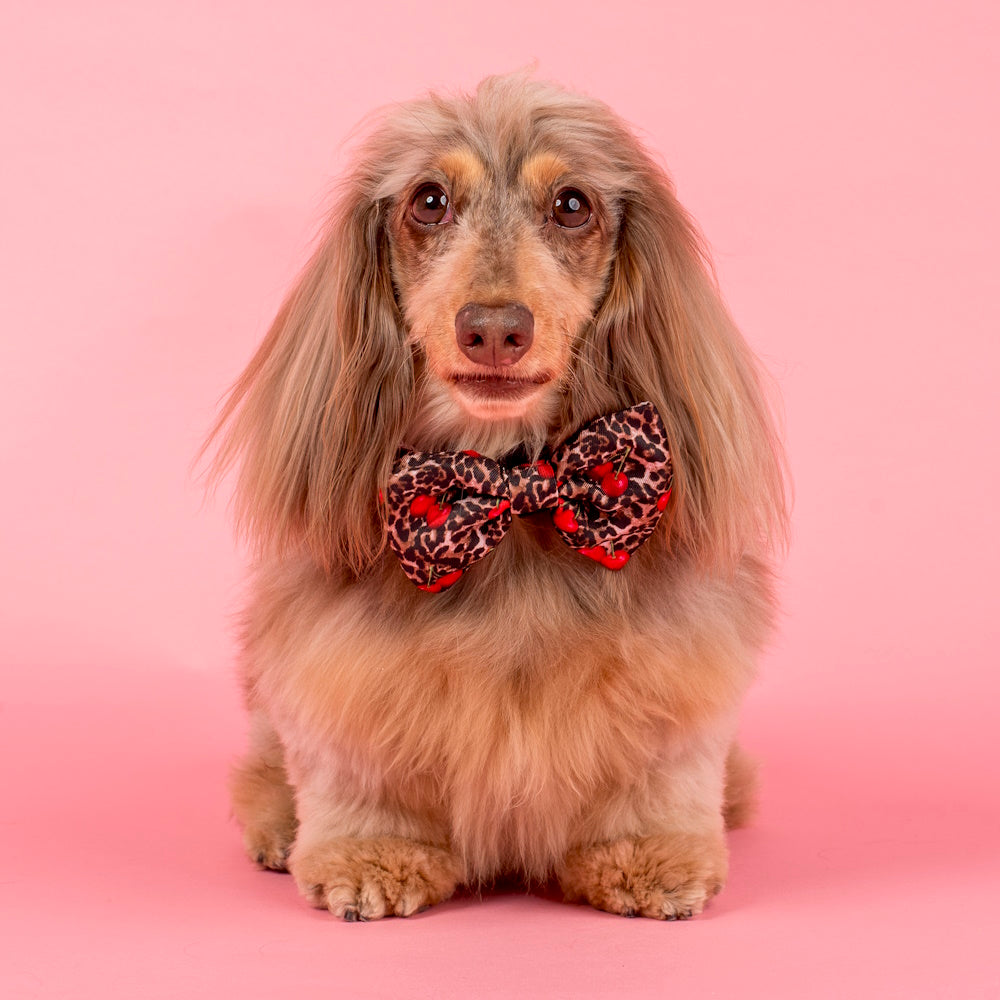 Pablo & Co Leopard Cherries Bow Tie