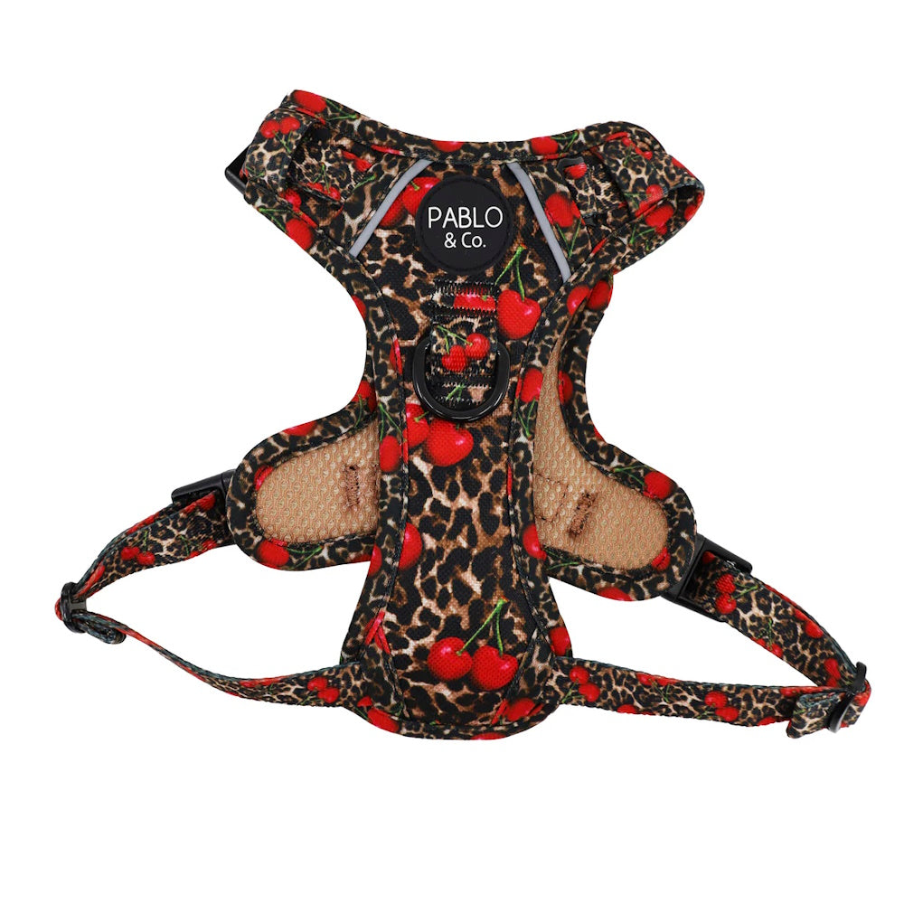 Pablo & Co Leopard Cherries No Pull Harness