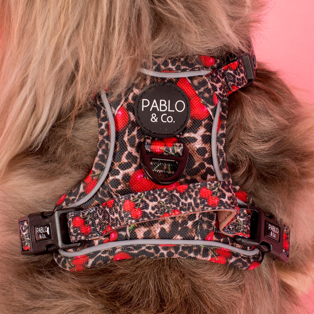 Pablo & Co Leopard Cherries No Pull Harness