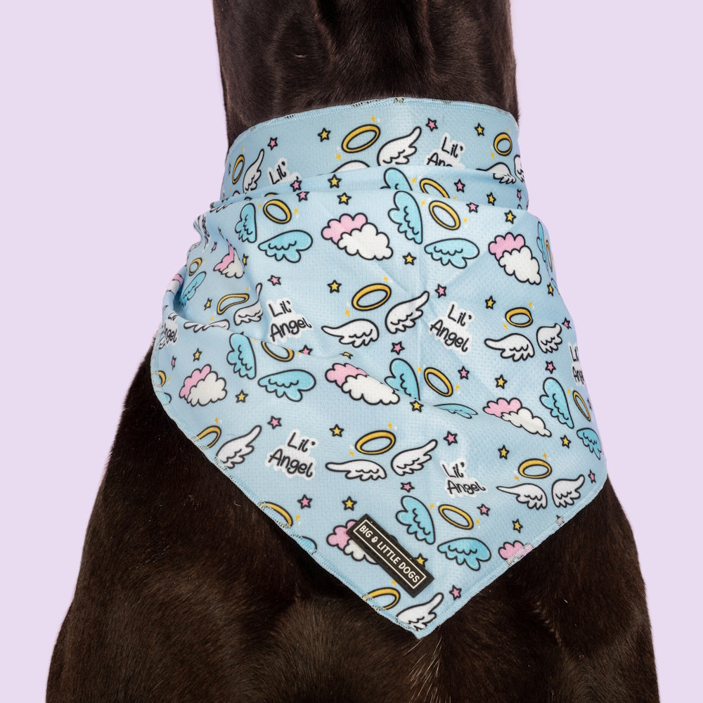 Big & Little Dogs Lil Angel Bandana