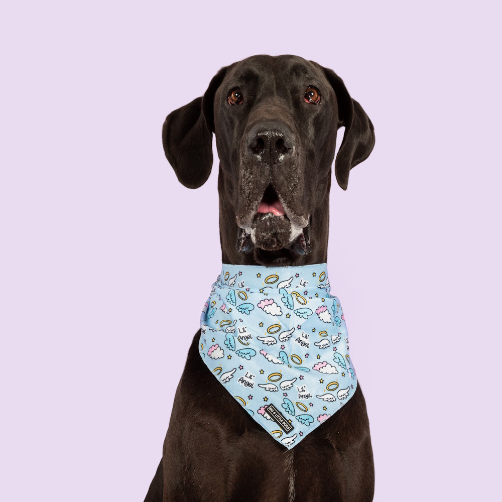 Big & Little Dogs Lil Angel Bandana