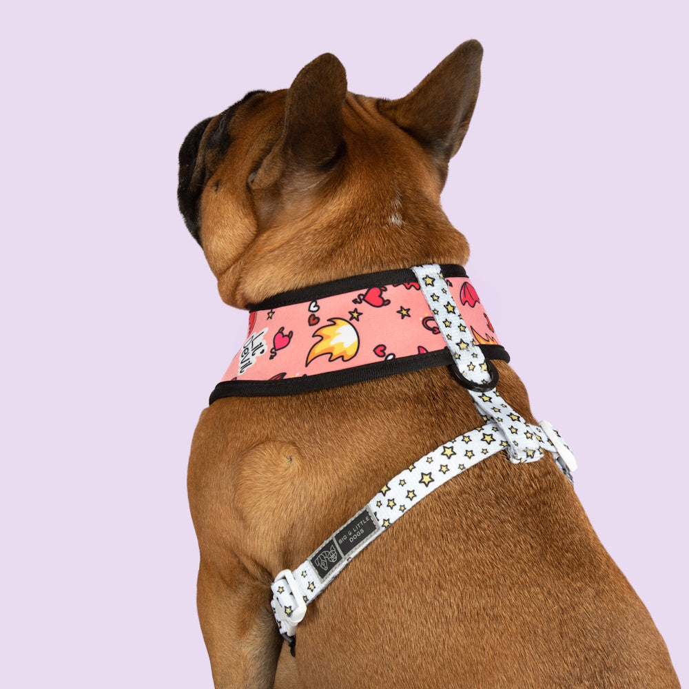 Big & Little Dogs Lil Angel vs Lil Devil Reversible Harness