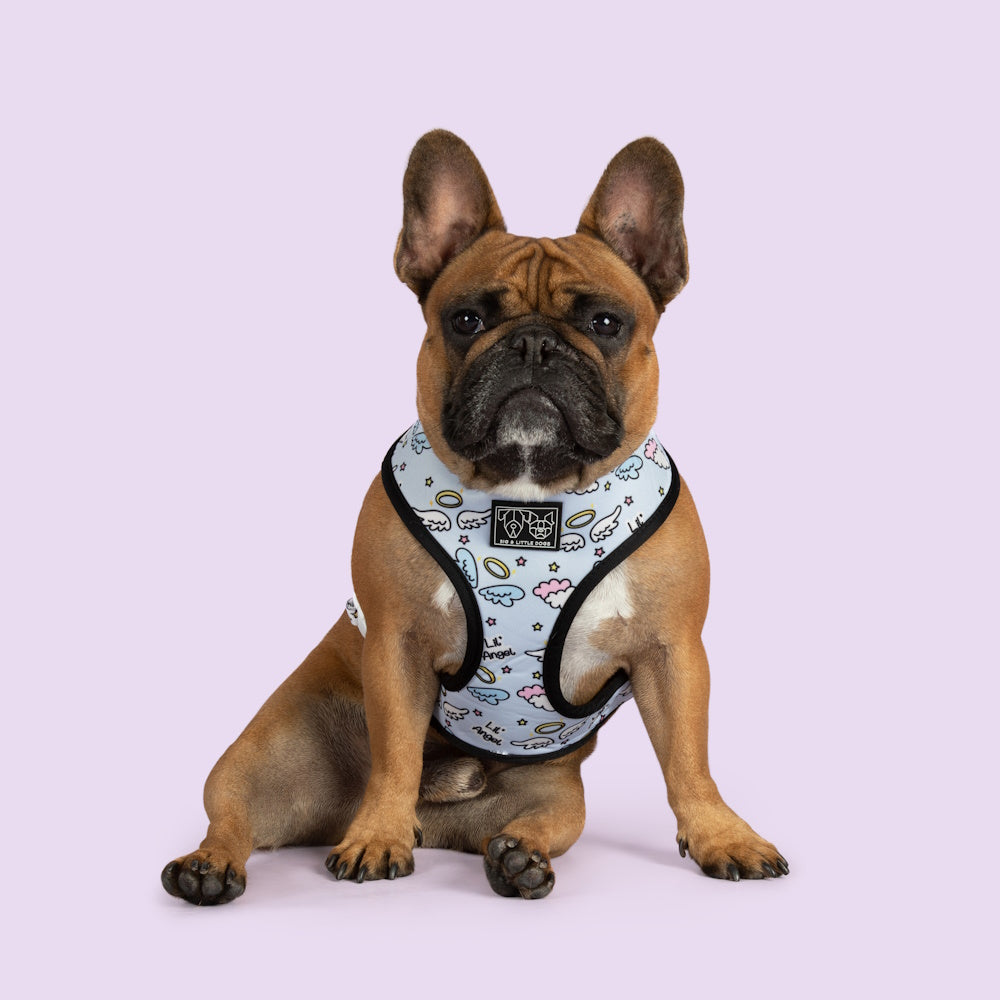 Big & Little Dogs Lil Angel vs Lil Devil Reversible Harness