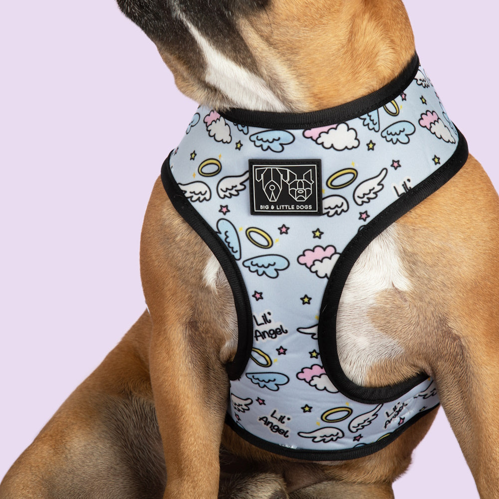 Big & Little Dogs Lil Angel vs Lil Devil Reversible Harness