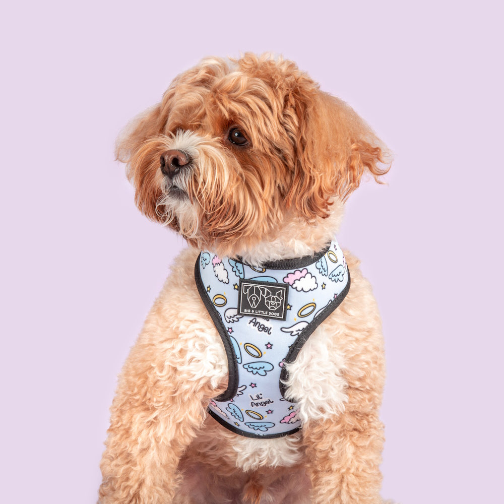 Big & Little Dogs Lil Angel vs Lil Devil Reversible Harness