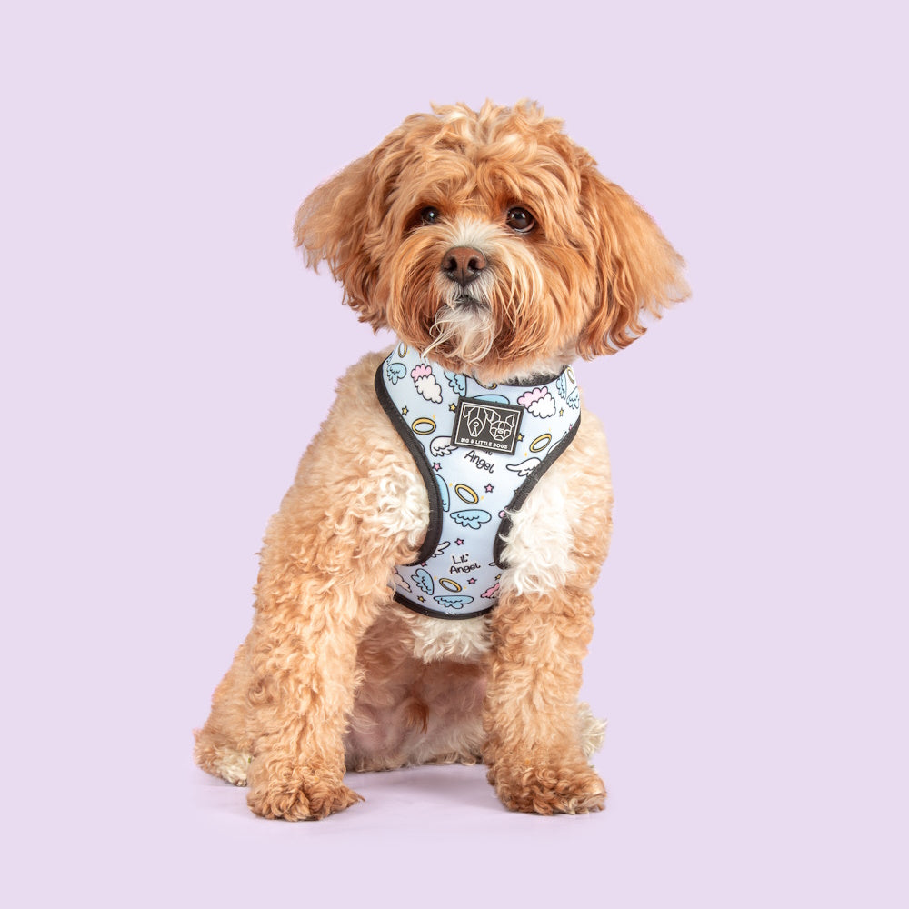 Big & Little Dogs Lil Angel vs Lil Devil Reversible Harness