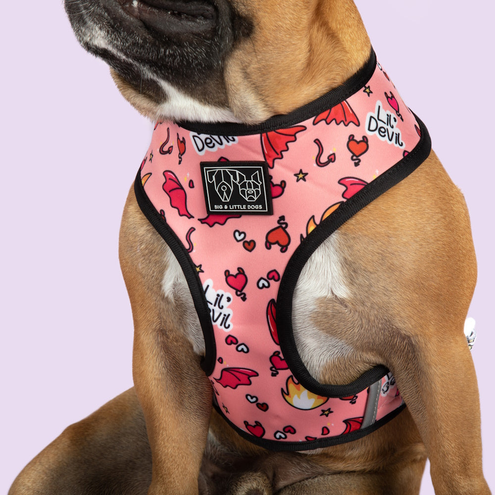 Big & Little Dogs Lil Angel vs Lil Devil Reversible Harness