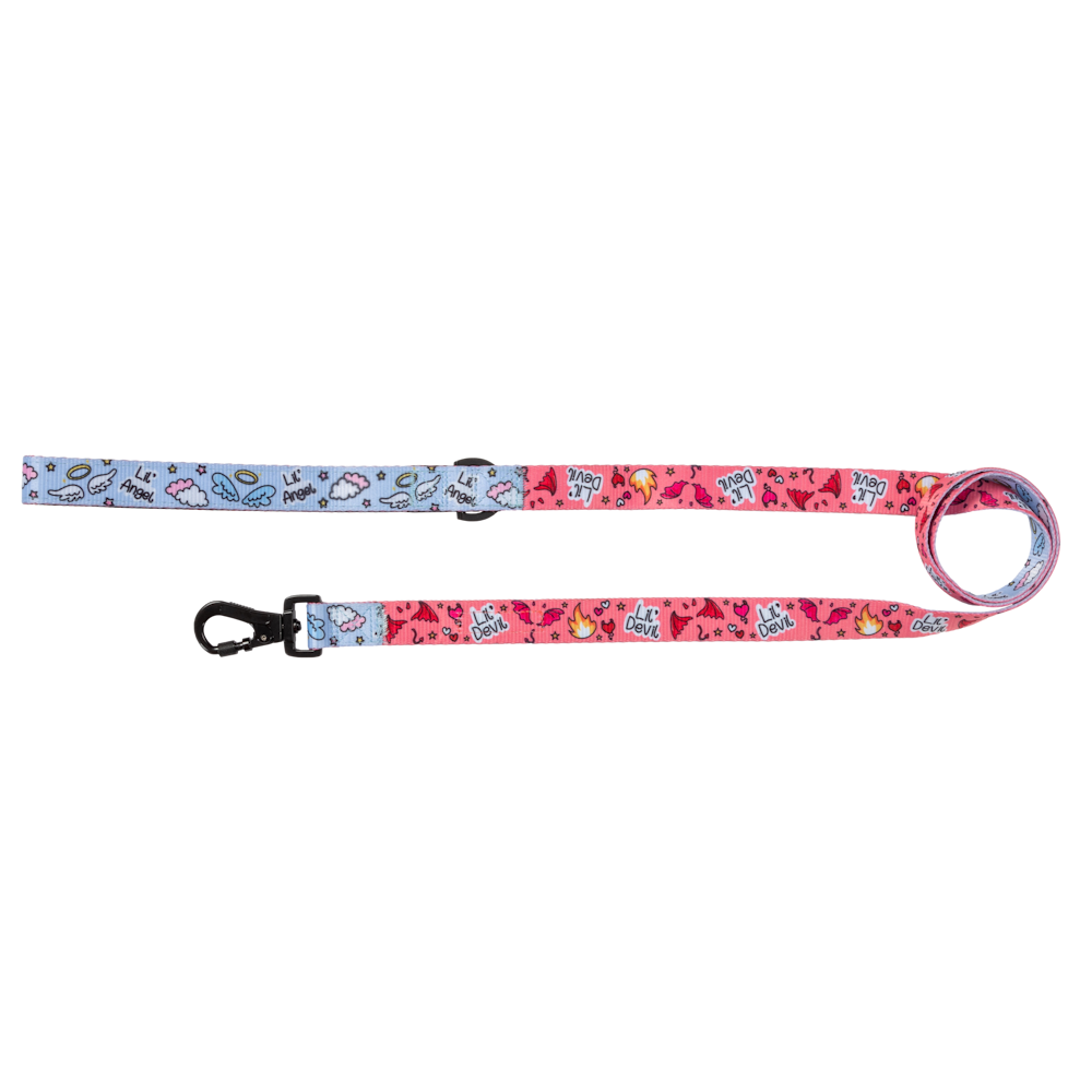 Big & Little Dogs Lil Angel vs Lil Devil Dog Leash